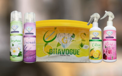 Exposition des produits GIIAVOGUE à la journée de la célébration de la femme au plateau